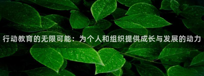 新宝5电脑
