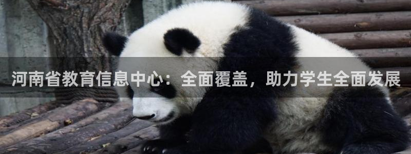 新宝5官网app