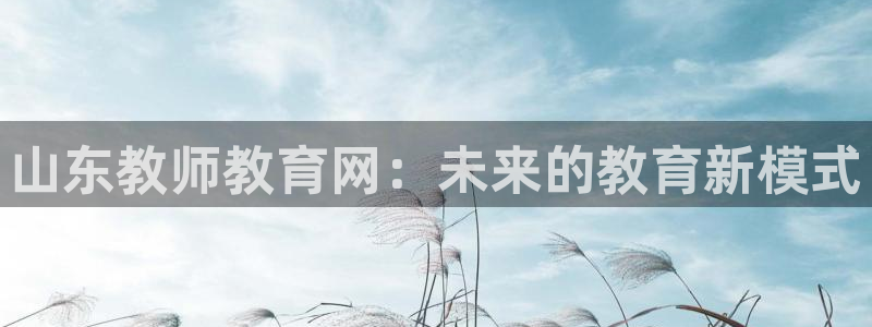 新宝5如何下载
