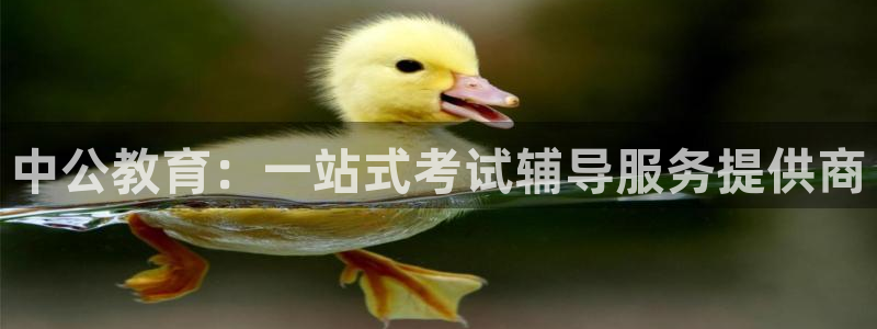 新宝5如何注册登录