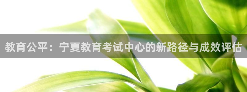新宝5平台霸