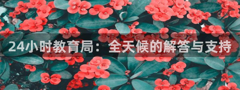 新宝5娱乐没