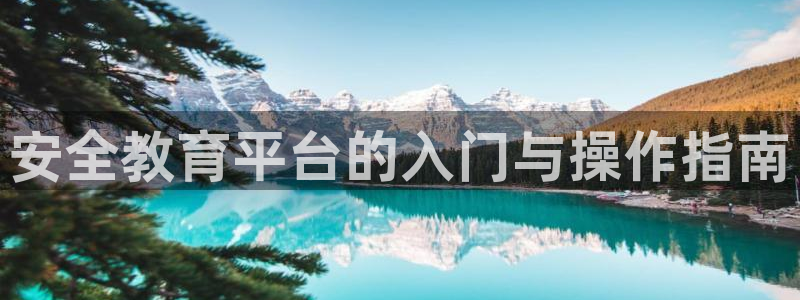 新宝5源码