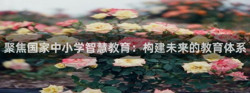 新宝5下载网址