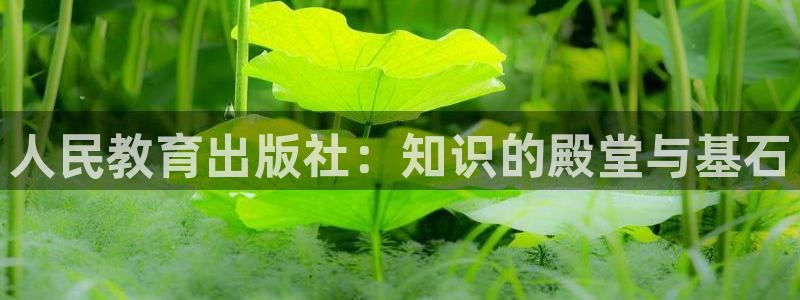 新宝5招商222111