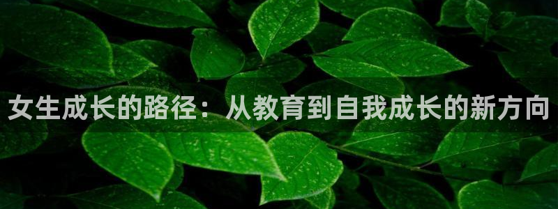 新宝5怎么下载到桌面