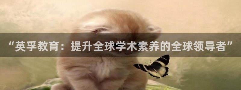 新宝5官网app