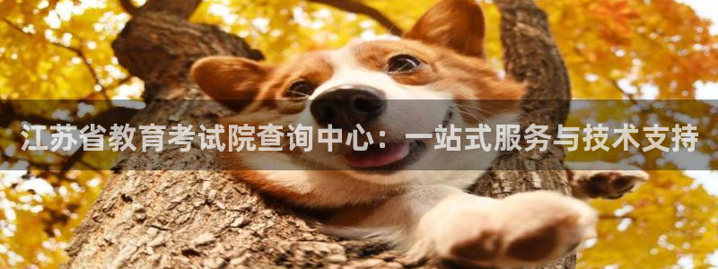新宝5测速登陆