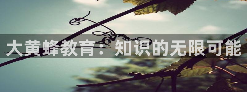股票5G宝新