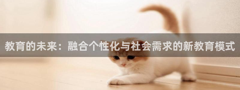 新宝5天