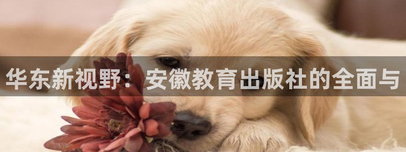 新宝5娱乐招商
