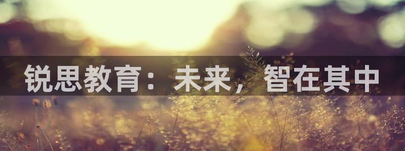 新宝5手机下载