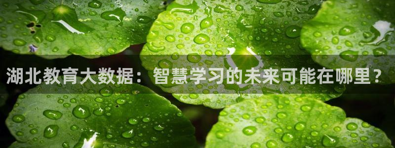 新宝5现在还能玩吗