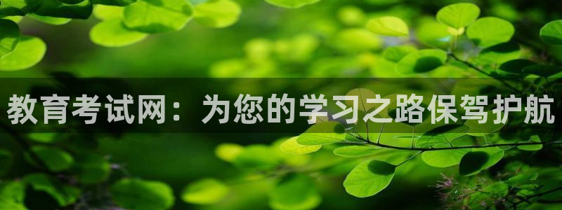 新宝5手机平台登陆