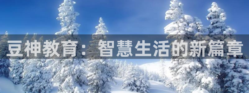 新宝5总代