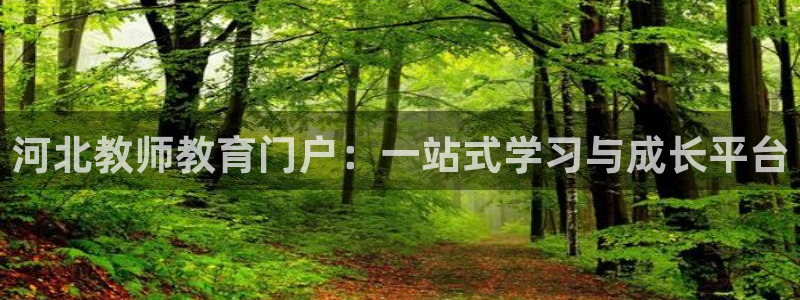 新宝5下载软件
