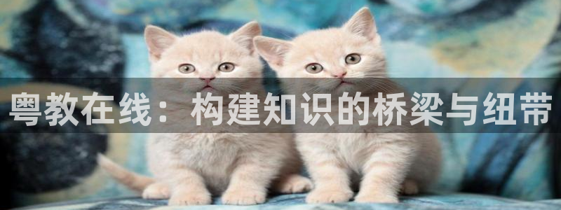 新宝5是谁