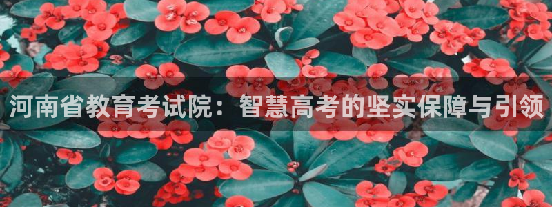 新宝5下载到桌面
