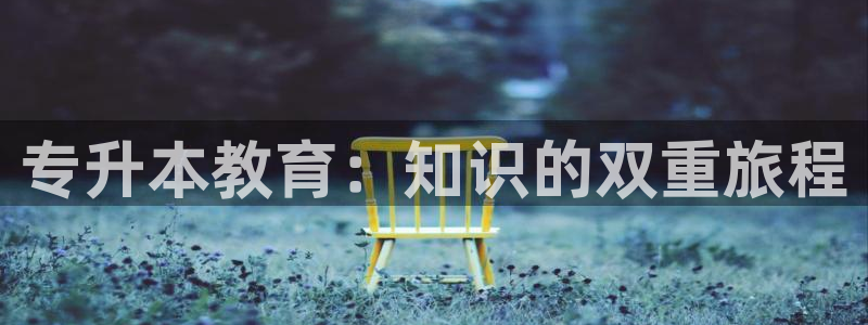 新宝5娱乐同