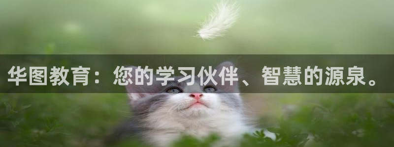股票5G宝新