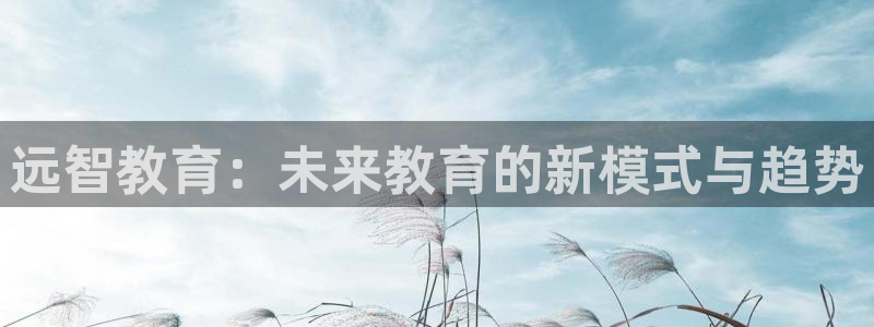 新宝5现在还能玩吗