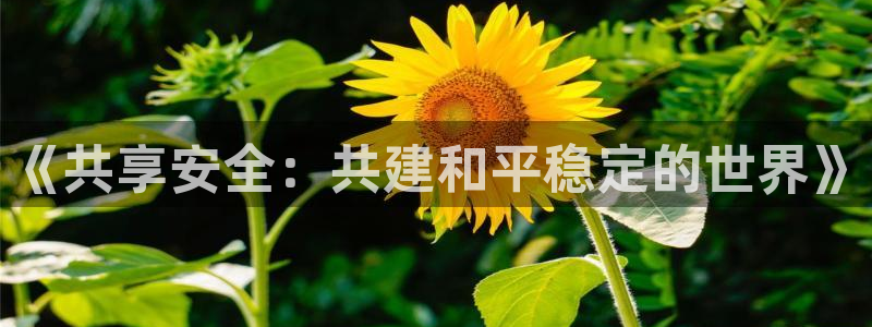 新宝5下载网址