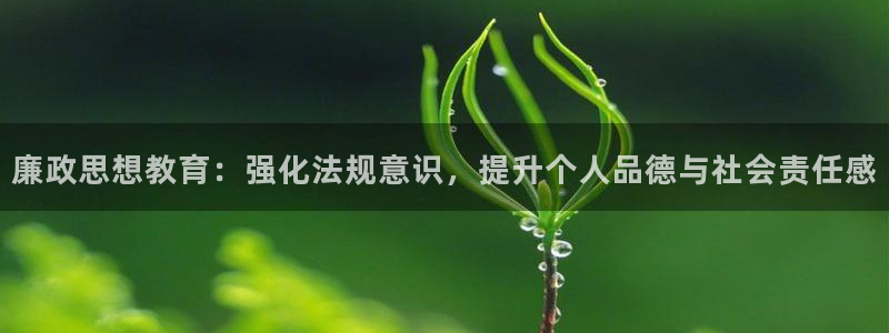 新宝5新宝6顺达