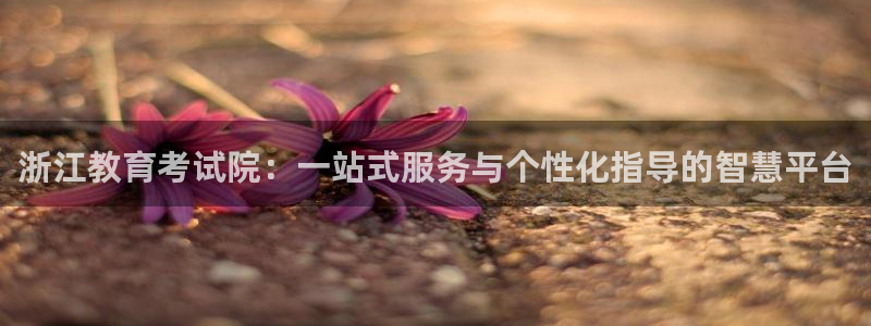 新宝5官方下载地址