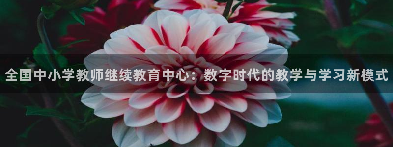 新宝5公司