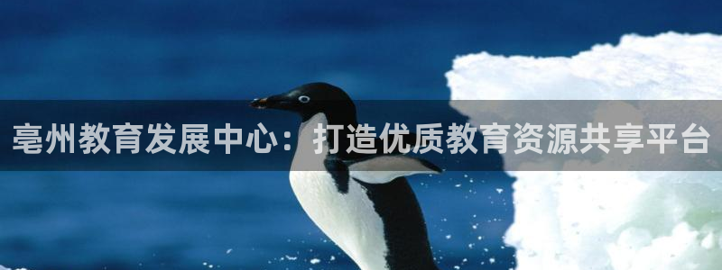 新宝5平台霸