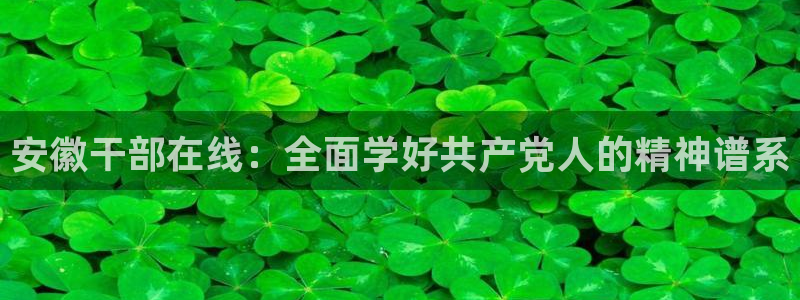 新宝娱乐5