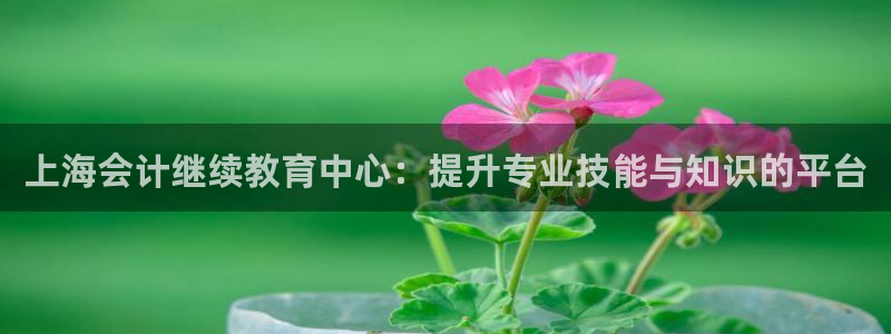 新宝5手机登陆
