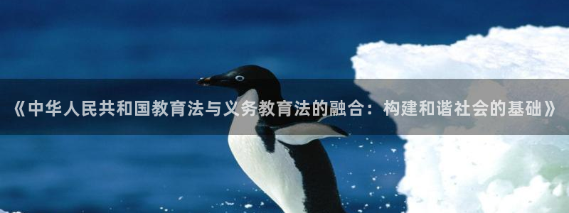 新宝5娱乐注