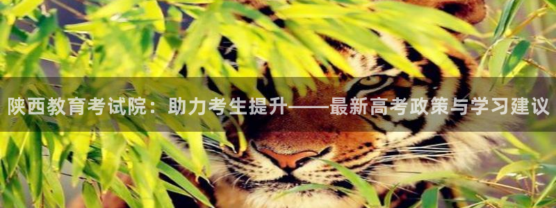 新宝5下载测试