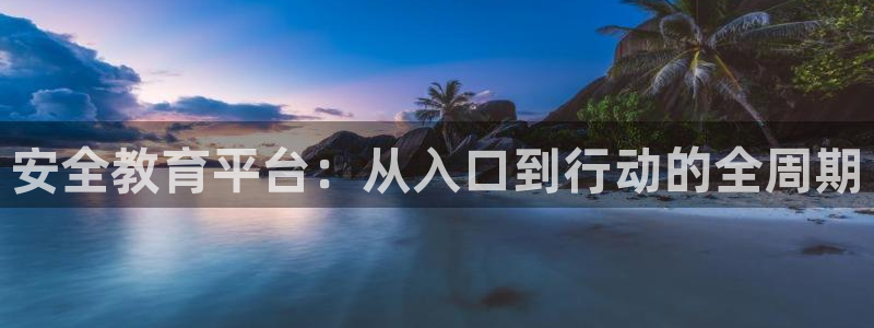 新宝堂新会陈皮5年