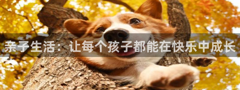 新宝5官方网站
