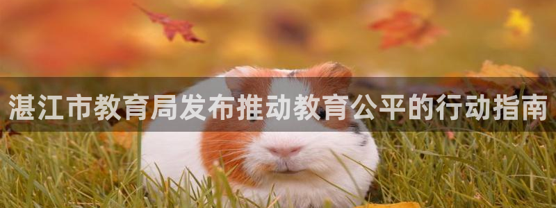 新宝娱乐5入口