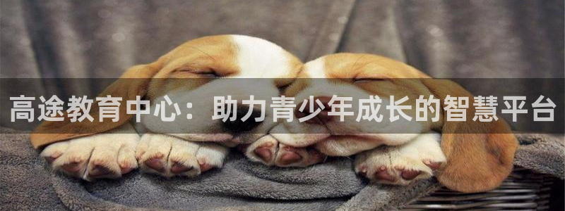 新宝5手机平台登陆