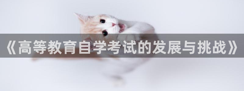 新宝5可靠吗