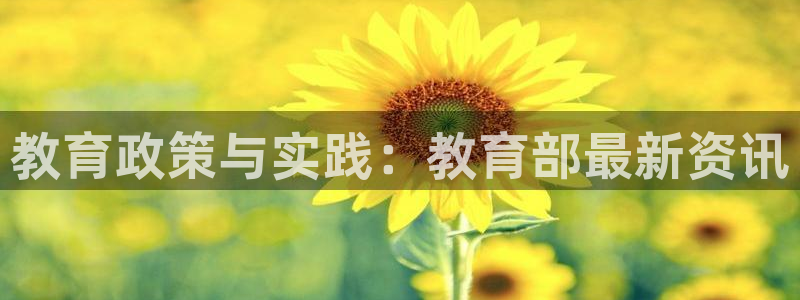 新宝5玩法