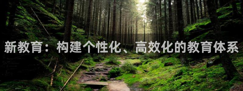 新宝5登陆