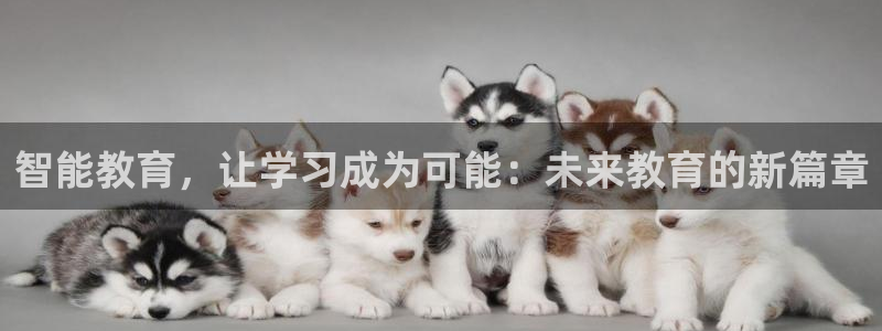 新宝5下载app