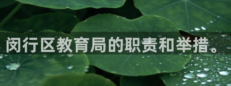 新宝5测速在线