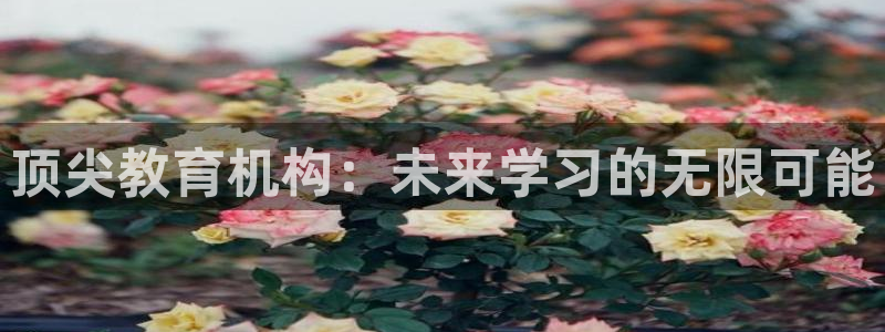 新宝5平台咋样
