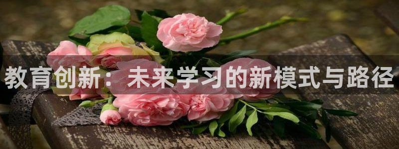 新宝娱乐5入口