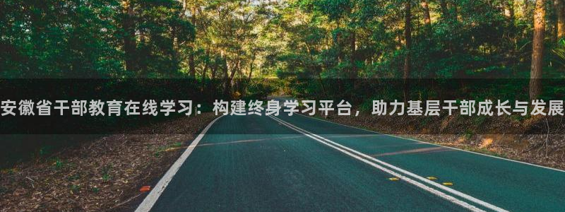 新宝堂新会陈皮5年