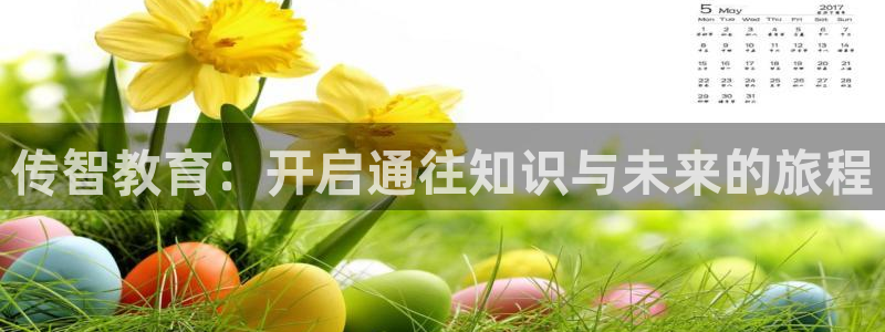 新宝堂新会陈皮5年