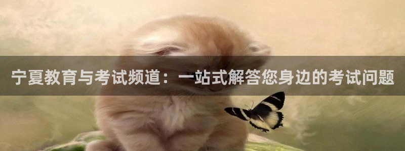 新宝5 - 测速登陆