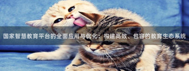 新宝5策略