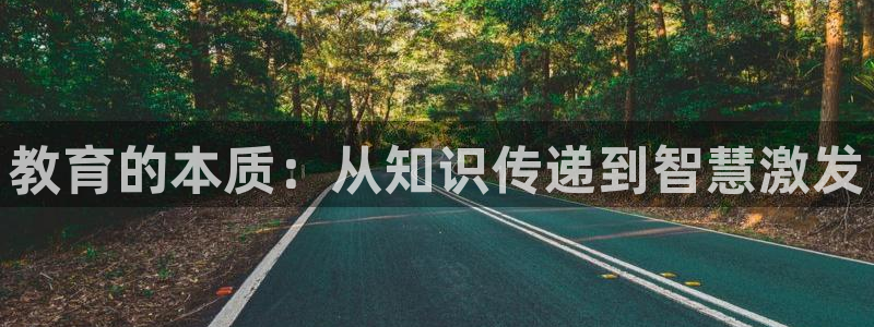 新宝6霸哥5